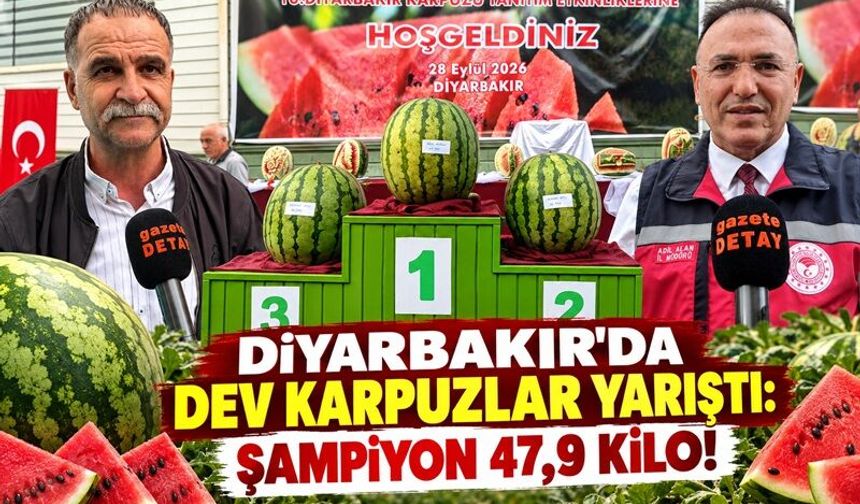 Diyarbakır’da Dev Karpuzlar Yarıştı: Şampiyon 47,9 Kilo!