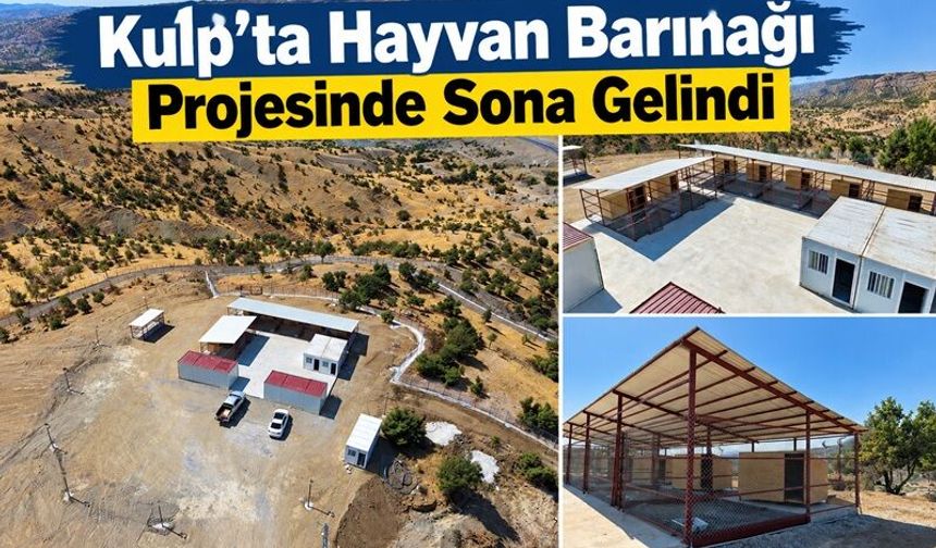 Kulp’ta Hayvan Barınağı Projesinde Sona Gelindi