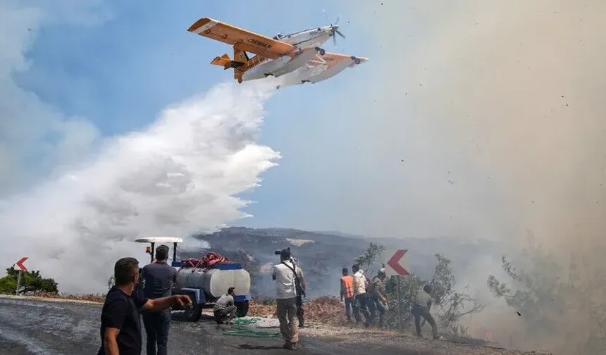 Orman yangınlarında 70 şüpheli belirlendi: 16 kişi tutuklandı