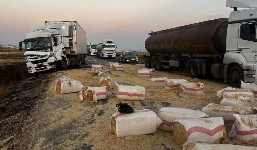 Tırla çarpışarak devrilen saman yüklü kamyonetin sürücüsü yaralandı