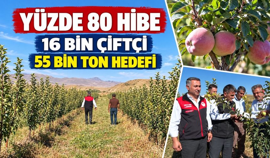 Van'ın meyve bahçelerinde yıllık 55 bin ton ürün hedefi