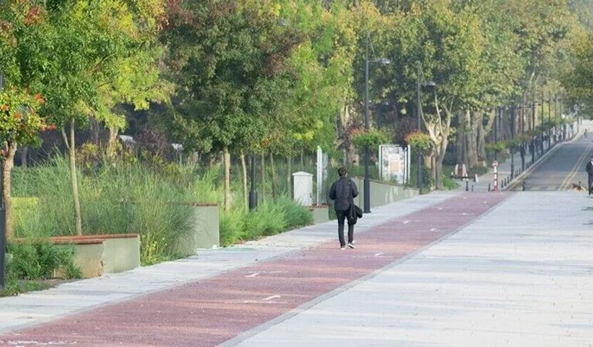 Türkiye yeşil kampüslerde Avrupa'da zirveye çıktı