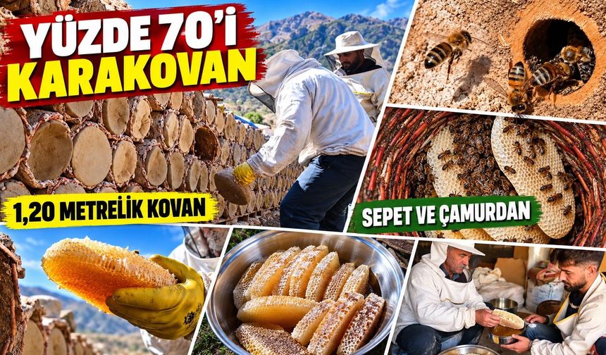 1800 ton bal bekleniyor, yüzde 60'ı karakovan: Hizan'da hasat