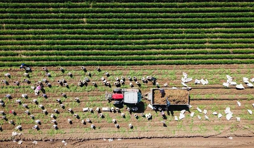 2027 Tarım Bütçesi Açıklandı: Destekler 235 Milyar Liraya Çıkıyor