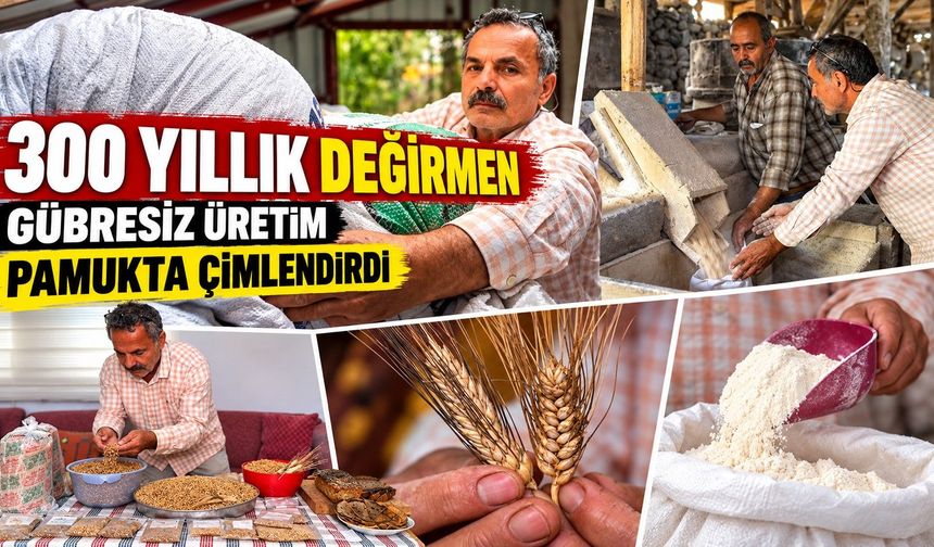 53 tohumla başladı, 16 yılda 5 tona ulaştı: Emekli öğretmenin üretim hikâyesi
