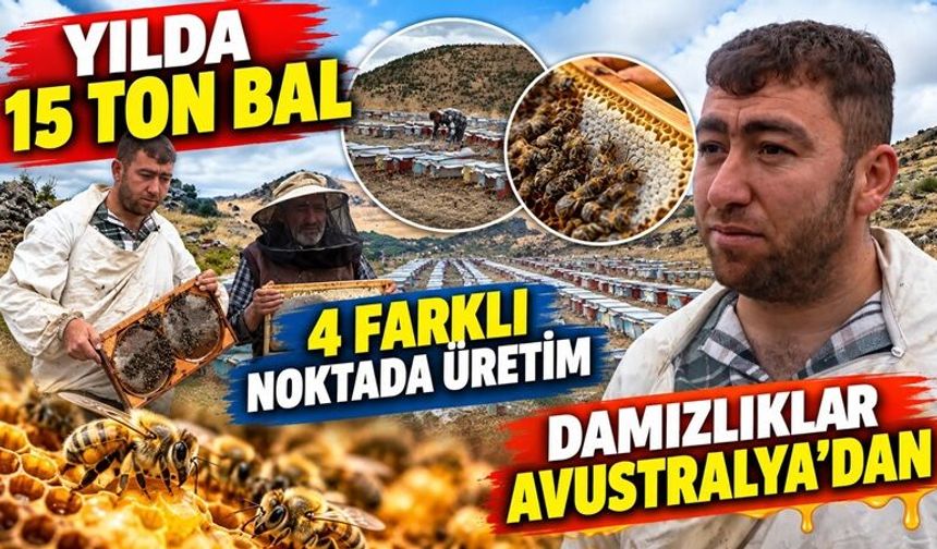70 kovanla başladı, 7 yılda 1200 kovana ulaştı