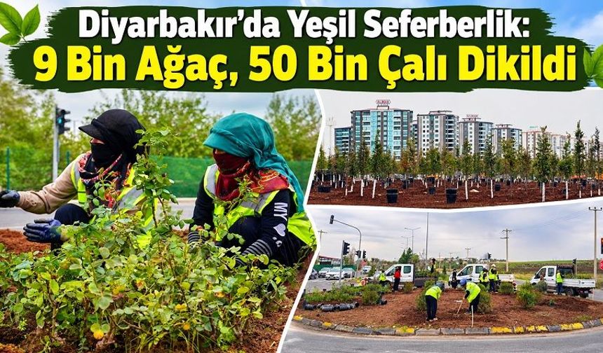 Diyarbakır’da Yeşil Seferberlik: 9 bin ağaç, 50 bin çalı dikildi