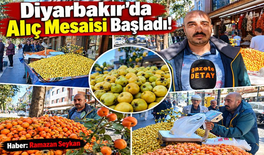 Diyarbakır'da Alıç Mesaisi Başladı!
