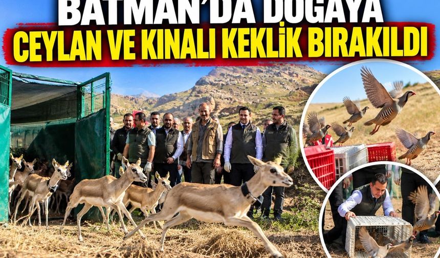 Batman’da Yaban Hayatı İçin Önemli Adım