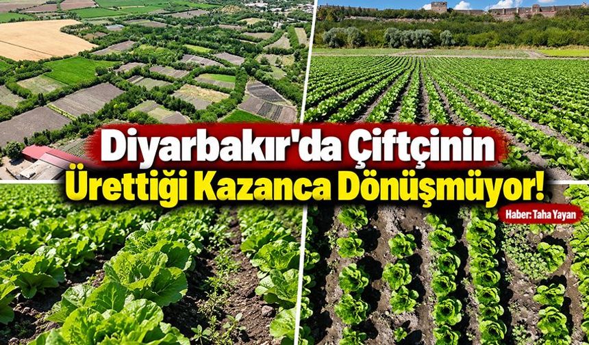 Diyarbakır'da Çiftçinin Ürettiği Kazanca Dönüşmüyor!