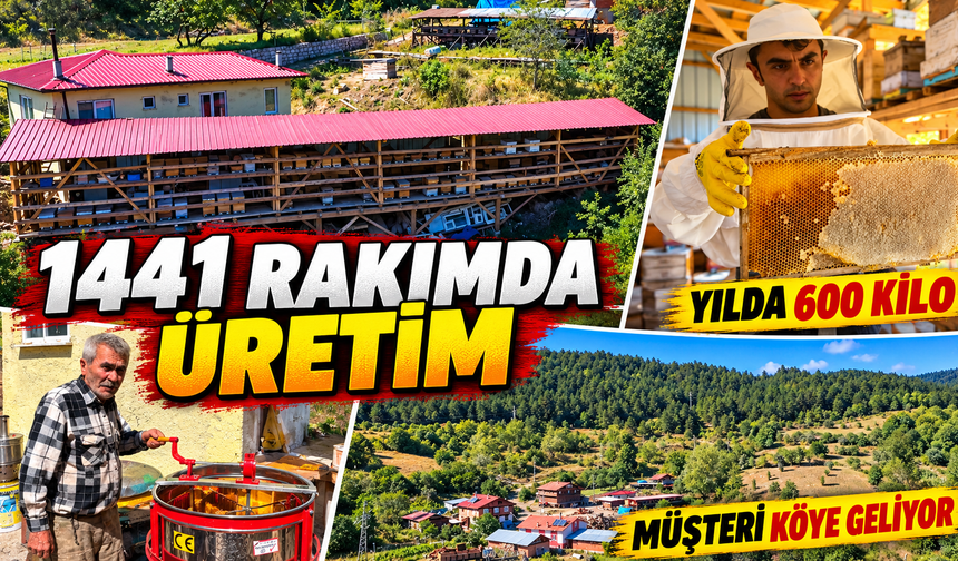 Çocukları köyden ayrıldı, o arıları için kalmayı seçti