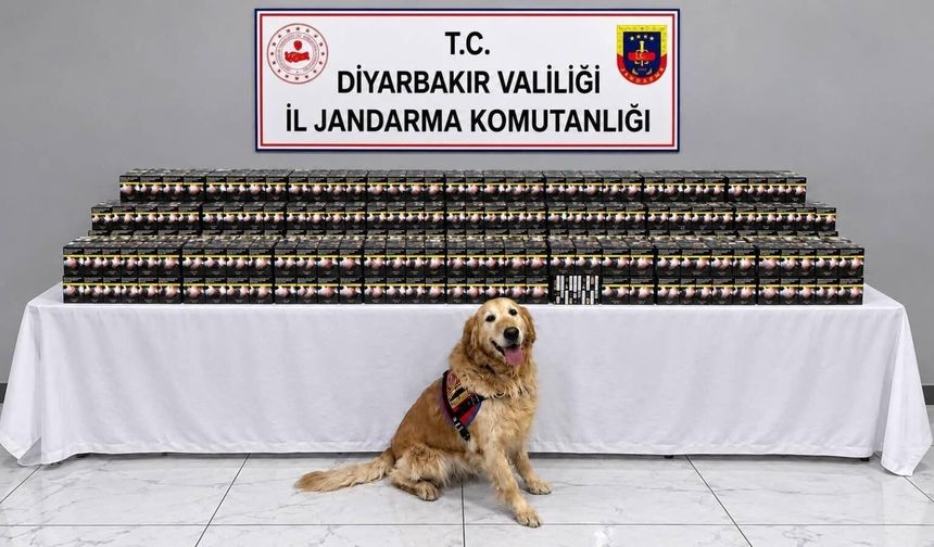 Diyarbakır’da kaçakçılık operasyonu: 29 kişi hakkında işlem