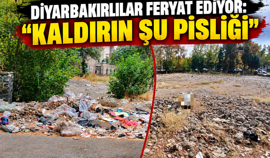 Diyarbakır’ın Göbeğinde Tepki Çeken Görüntü: “Kaldırın Şu Pisliği”