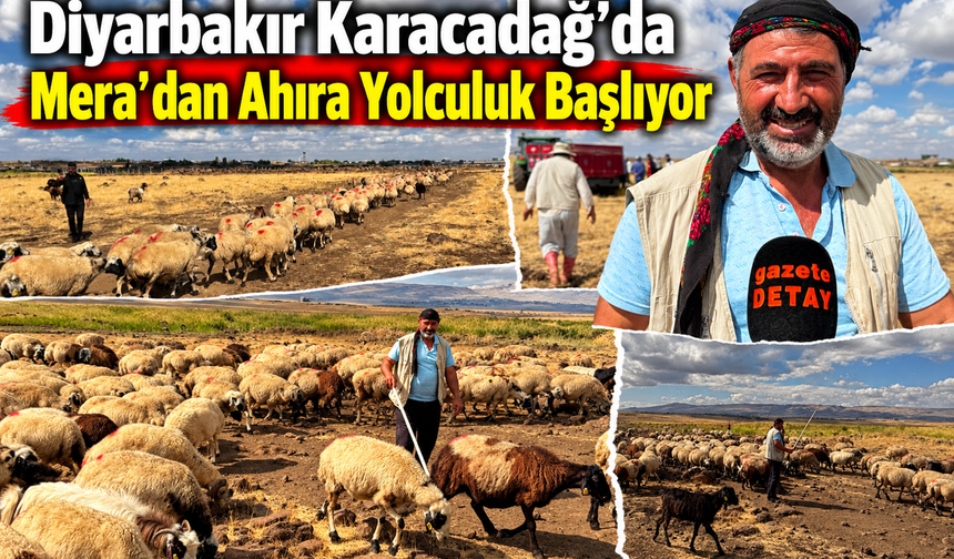 Diyarbakır Karacadağ’da Mera'dan Ahıra Yolculuk Başlıyor