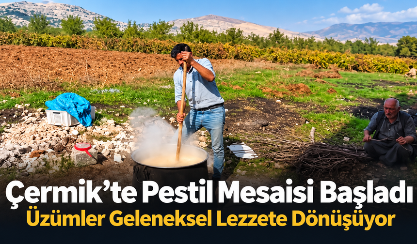 Çermik’te Pestil Mesaisi Başladı: Üzümler Geleneksel Lezzete Dönüşüyor