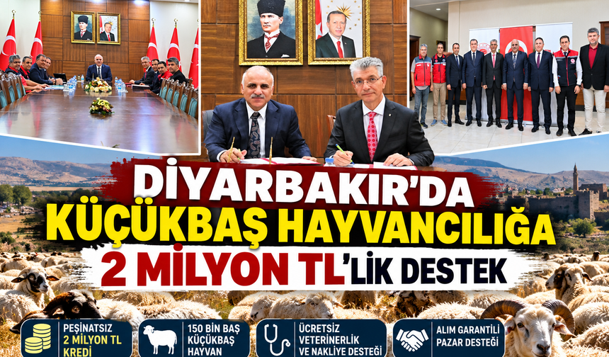 Diyarbakır’da küçükbaş hayvancılık için büyük destek: