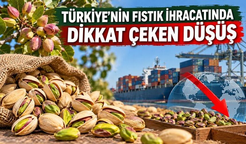 Türkiye’nin fıstık ihracatında dikkat çeken düşüş