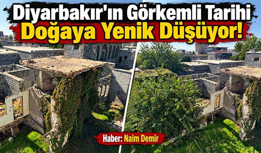 Diyarbakır'ın Görkemli Tarihi Doğaya Yenik Düşüyor!