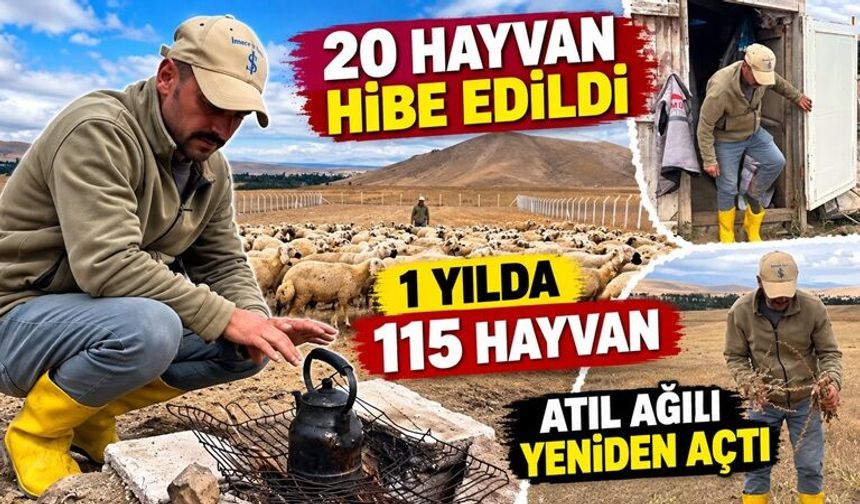Hiçbir şeyi yoktu, devlet desteğiyle yeniden hayvancılığa başladı