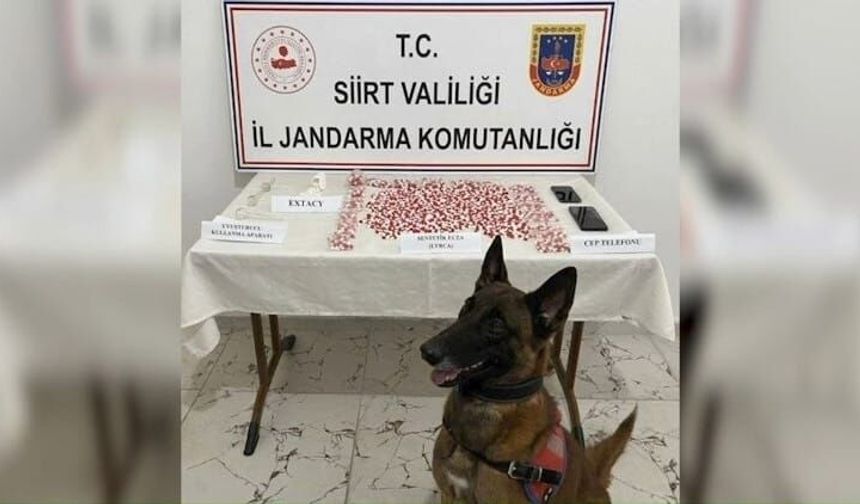 Siirt’te Otobüs Durduruldu: Çantadan Binlerce Uyuşturucu Hap Çıktı