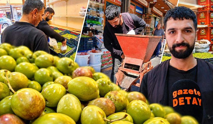 Diyarbakır’da Yeşil Zeytin Sezonu Başladı: Kilosu 180 TL!