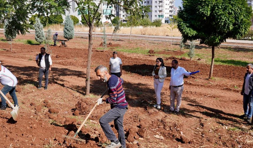 Bağlar’da Ahmed Arif Parkı’nda Sona Doğru