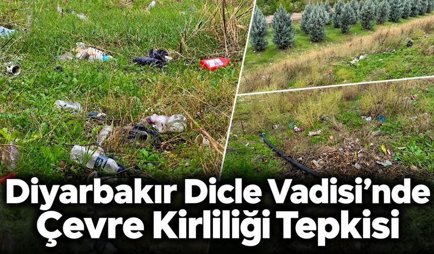 Diyarbakır Dicle Vadisi’nde Çevre Kirliliği Tepkisi