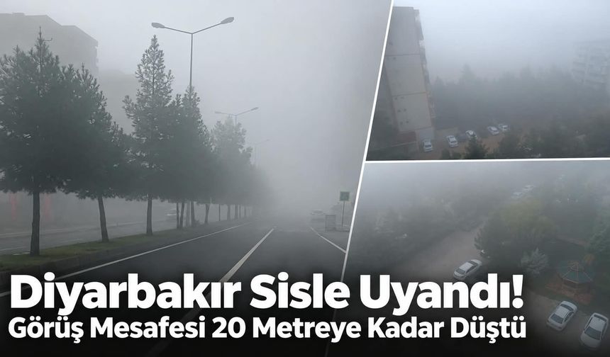 Diyarbakır Sisle Uyandı! Görüş Mesafesi 20 Metreye Kadar Düştü