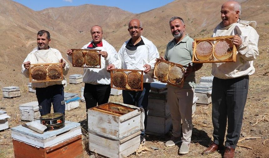 Siirt’in Yüksek Yaylalarında Bal Mesaisi: Hedef Kaliteyi Artırmak