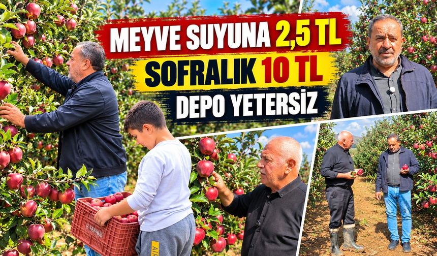 Kurt yok, kara leke yok, rekolte yüksek: Peki üretici neden dertli