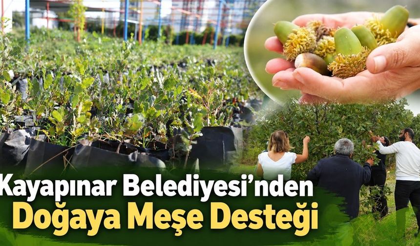 Kayapınar Belediyesi’nden Doğaya Meşe Desteği