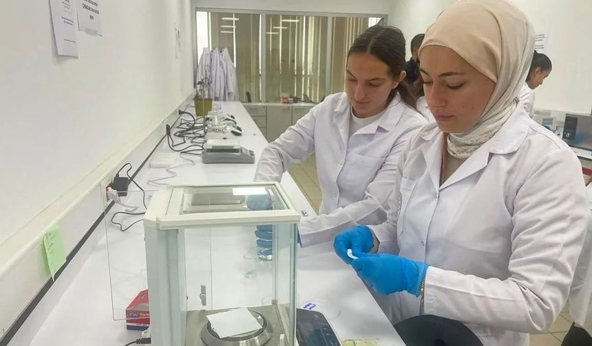 Melanom Tedavisi İçin 3 Boyutlu Mikroiğne Yama Geliştirildi