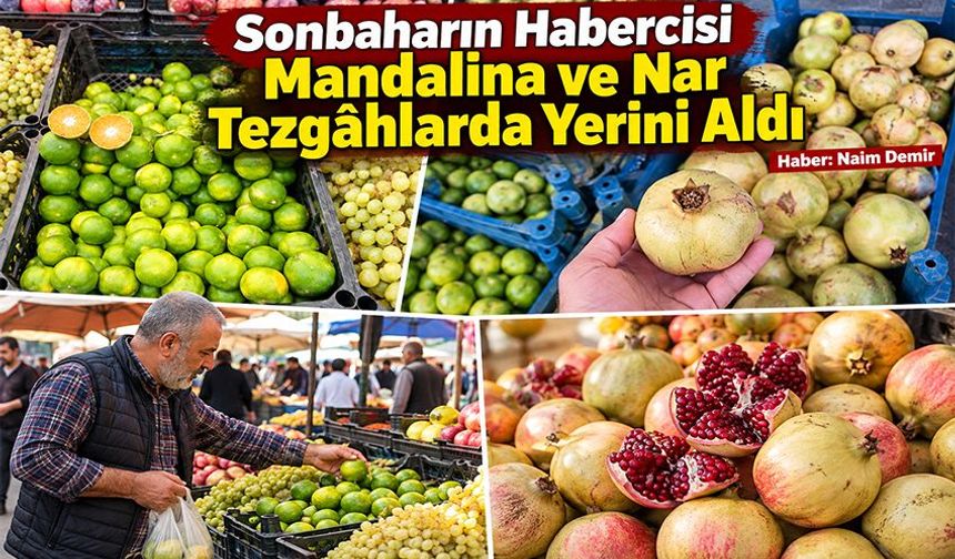 Sonbaharın Habercisi Mandalina ve Nar Tezgâhlarda Yerini Aldı