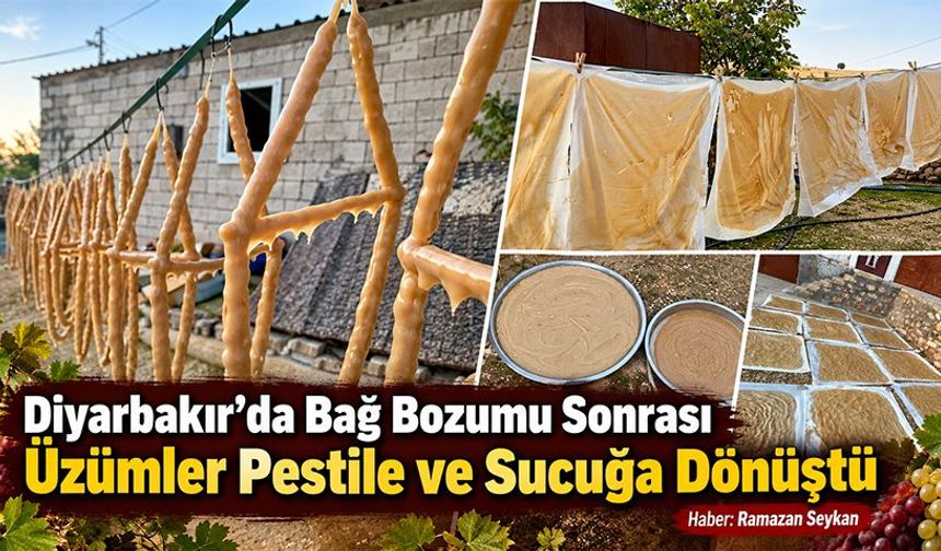Diyarbakır’da Bağ Bozumu Sonrası üzümler pestile ve sucuğa dönüştü