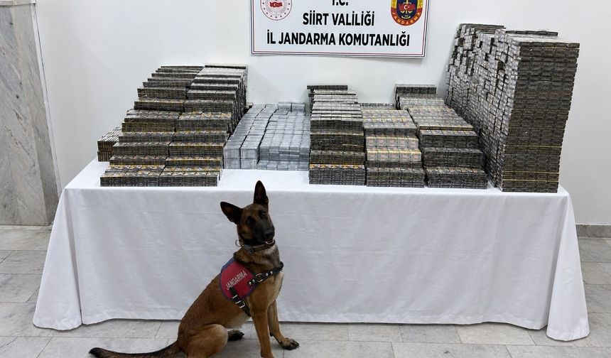 Siirt’te Kaçakçılık Operasyonu: 10 Bin 250 Paket Sigara Ele Geçirildi