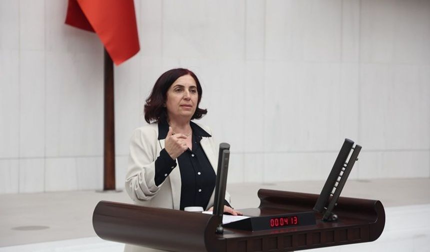 Diyarbakır’da Sağlık Sorunları Meclis Gündeminde