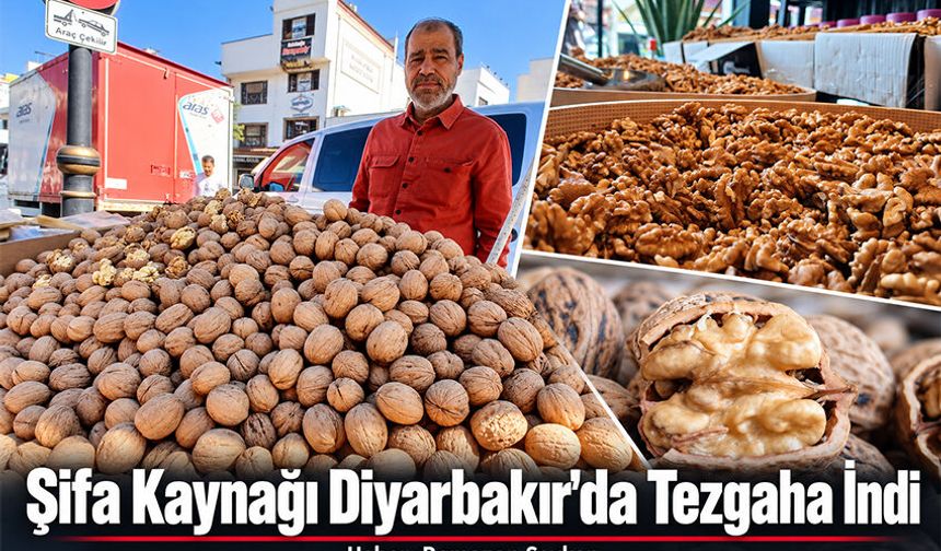 Şifa Kaynağı Diyarbakır'da Tezgaha İndi