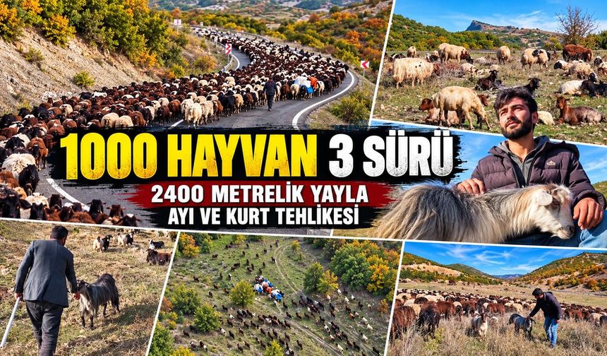 Yağmur altında, dağları aşarak: Üç ailenin bir aylık kışlak yolculuğu