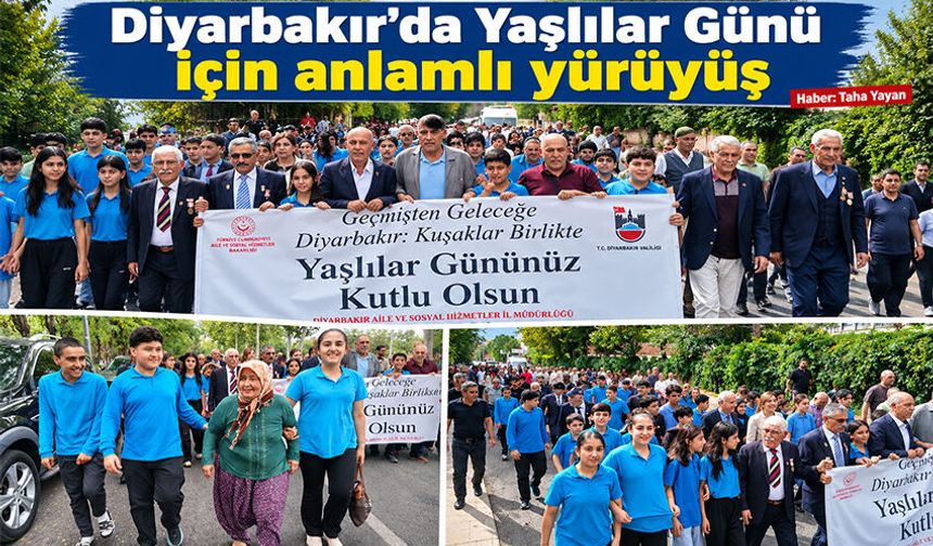 Diyarbakır’da Yaşlılar Günü için anlamlı yürüyüş