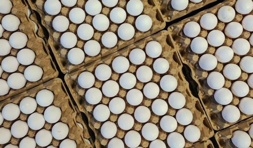 Türkiye'nin Yumurta İhracatında Yüzde 54’lük Artış