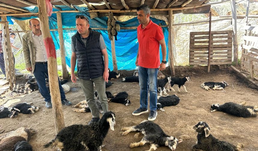 Kulplu Çiftçi’ye Kahramanmaraşlı hayırseverden destek