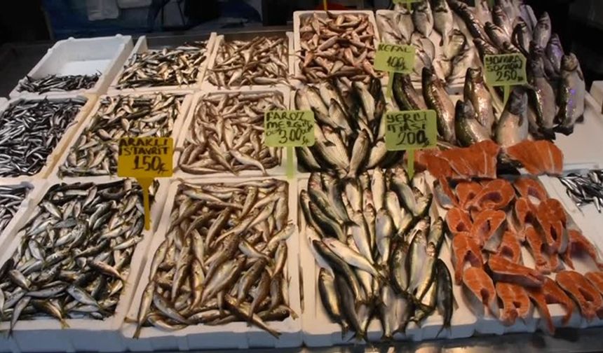 Hamsi ve istavrit 150 liradan satışa sunuluyor