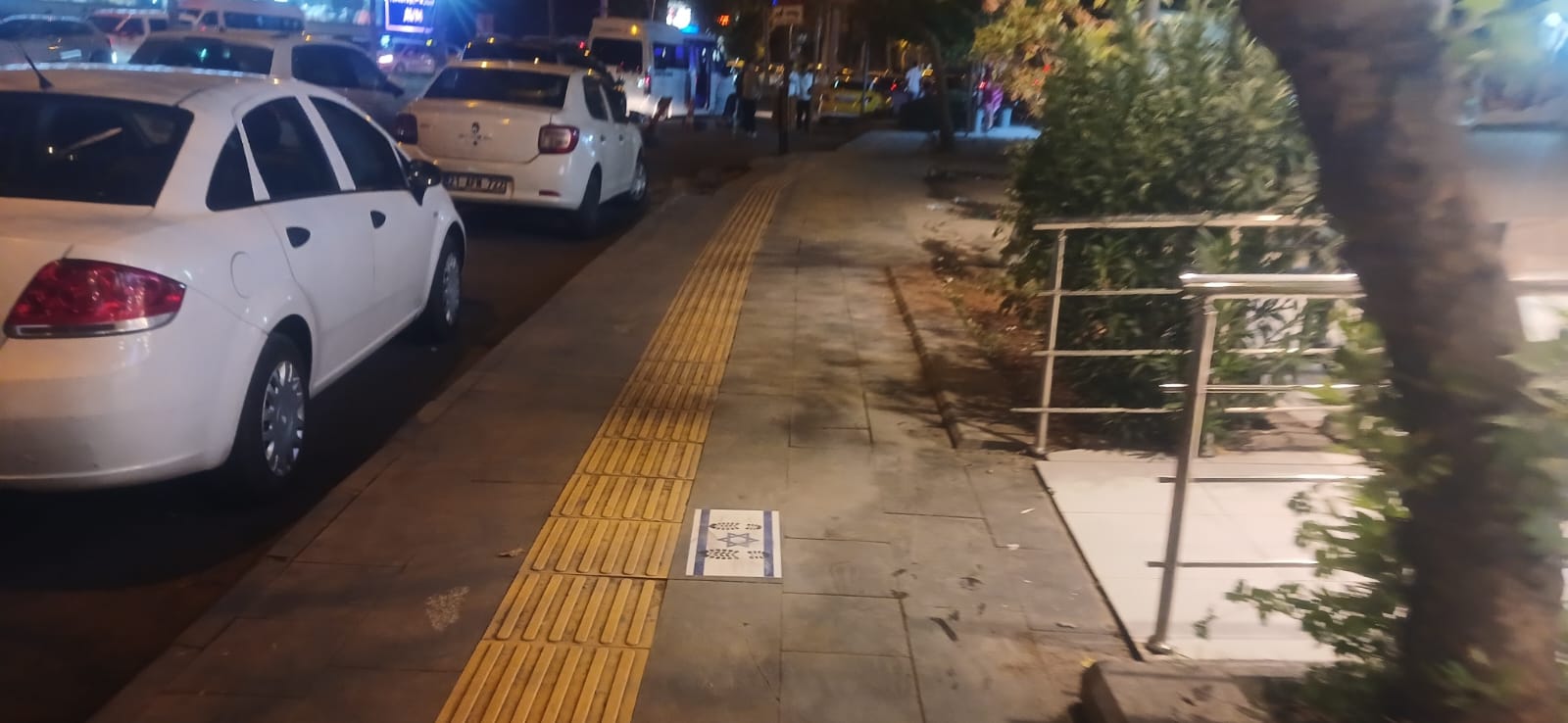 Israil Bayraklari Yerlerde (2)