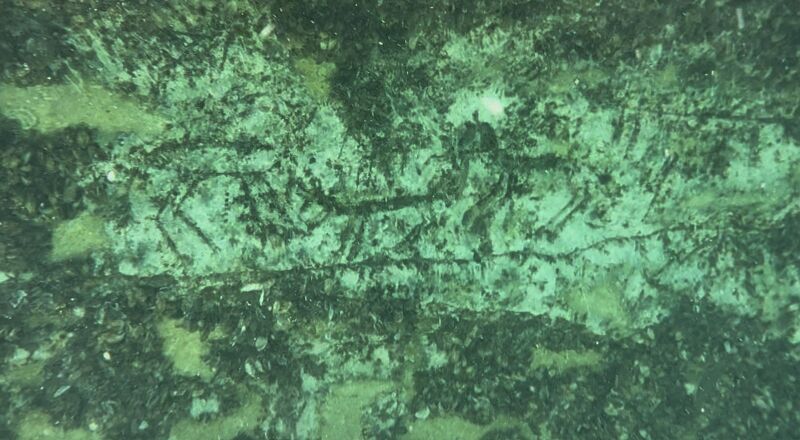 Adıyaman’da Su Altı Keşfi Tarihe Yeni Izler (4) 800X440