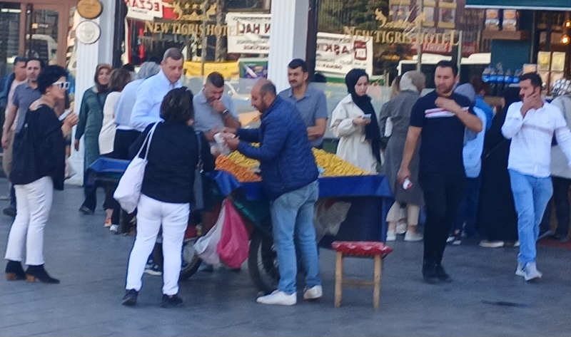 Alıç Meyvesi 2