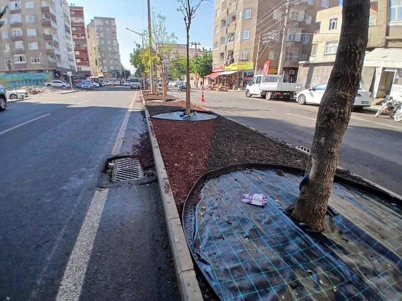 Bağlarda Çalışma