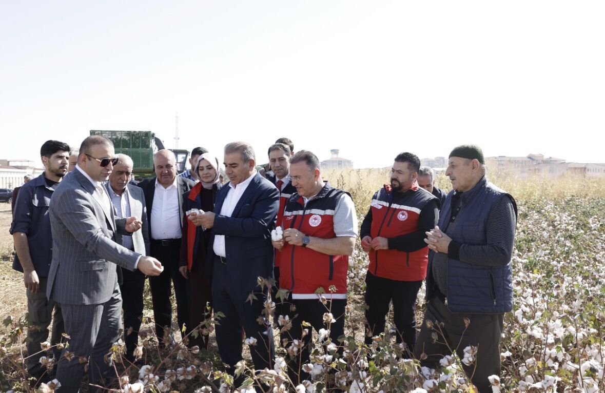 Bismil’de Pamuk Hasadı Başladı Beyaz Altın Yeniden Parlıyor (3)