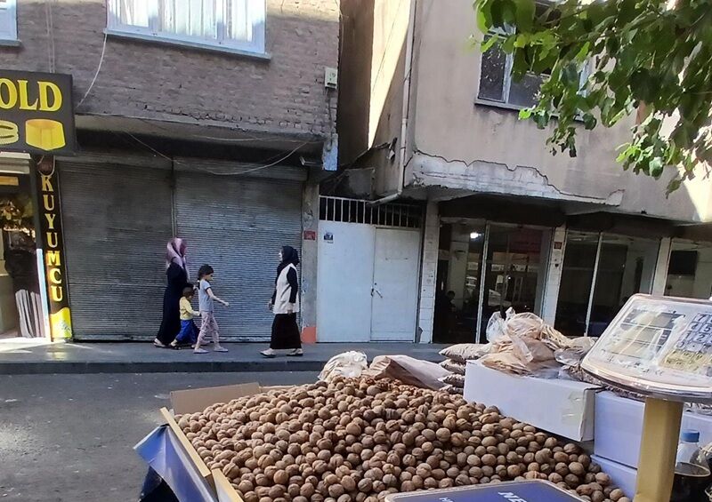 Ceviz Yandı