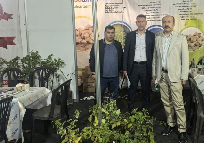 Mmg Odası Mardin