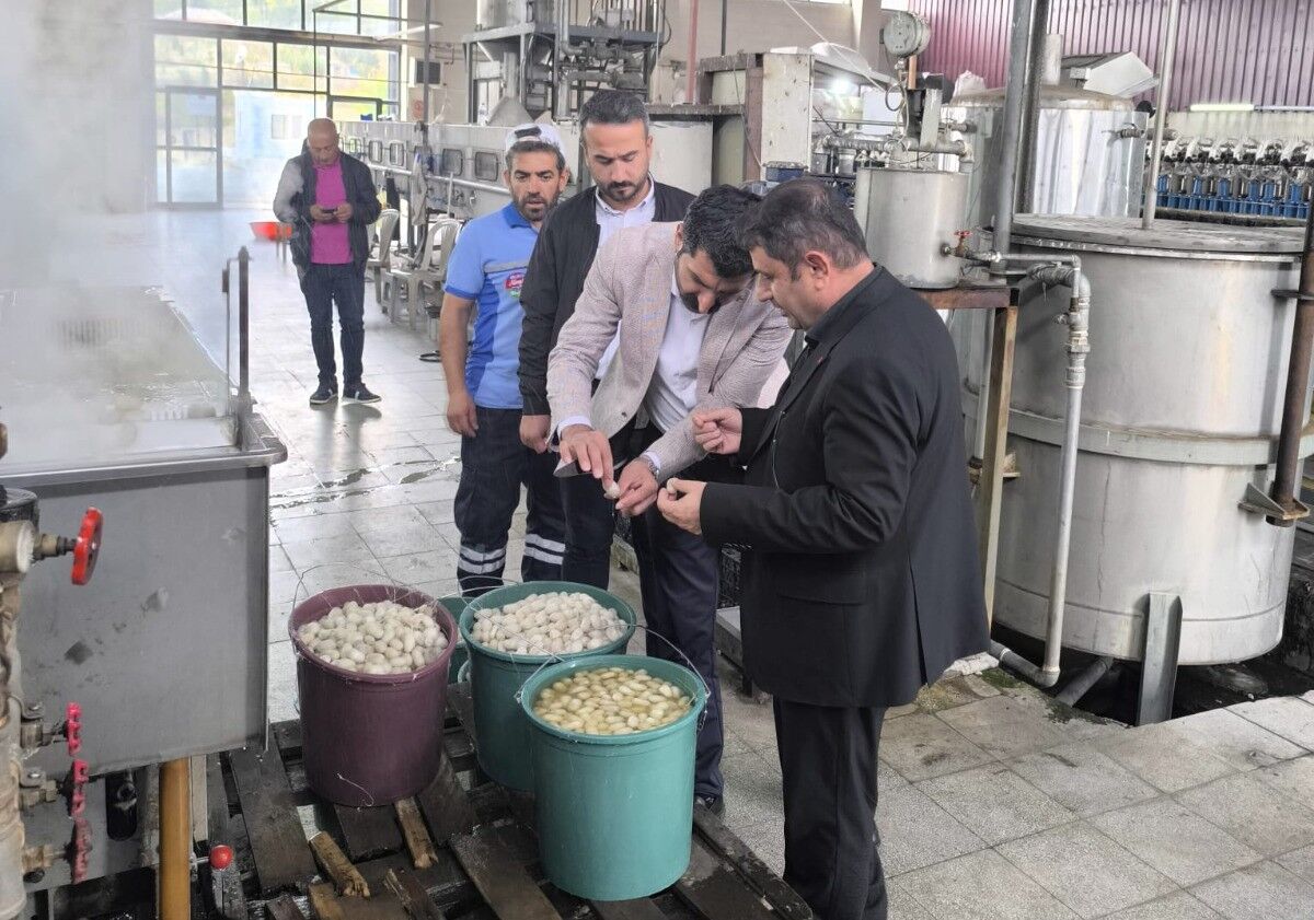 Pasuri Markasıyla Kulp’ta Üretim Güçleniyor (8)
